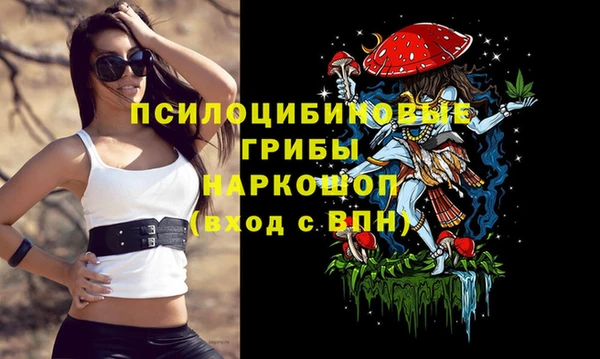 МДПВ Володарск