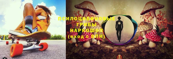 соль курить ск Богородск