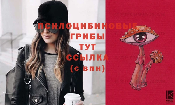 МДПВ Володарск