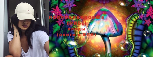 МДПВ Володарск